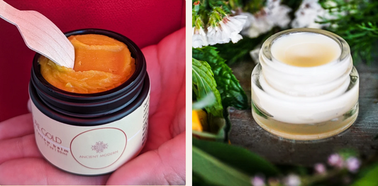 The Essentials by Ancient Modern - tallow balm and lip balm hydration duo